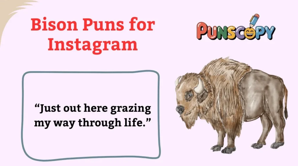 Bison Puns for Instagram