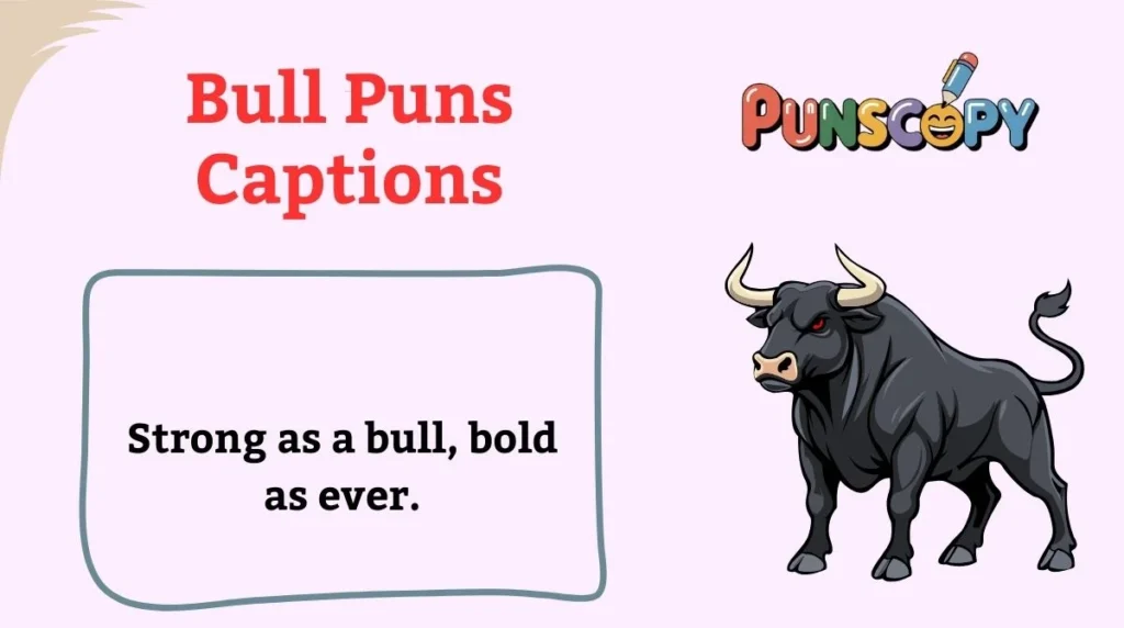Bull Puns Captions