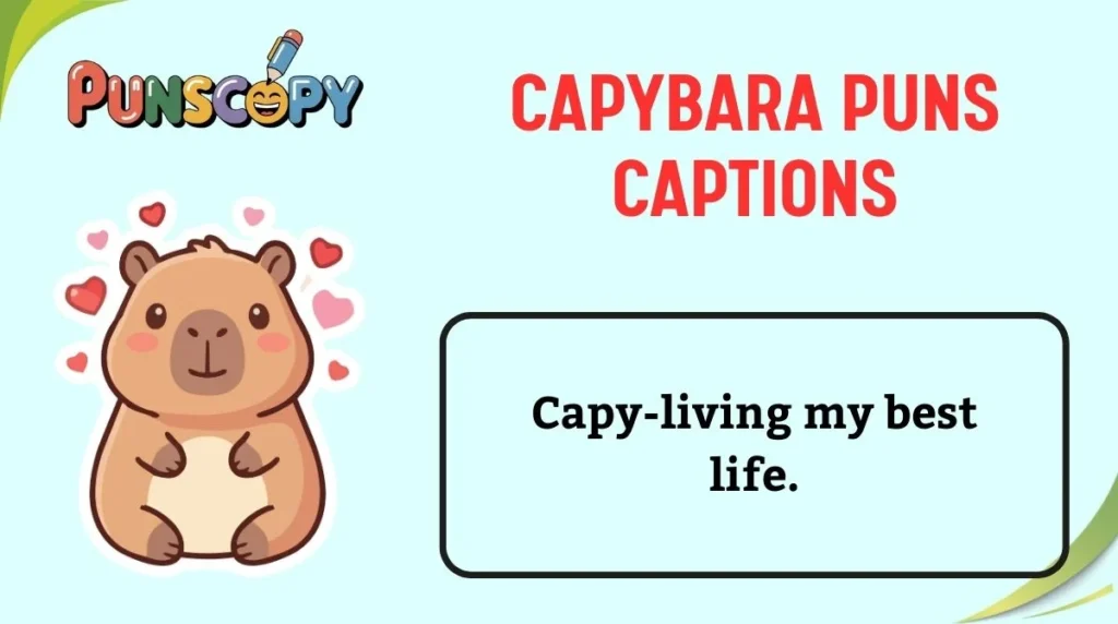 Capybara Puns Captions