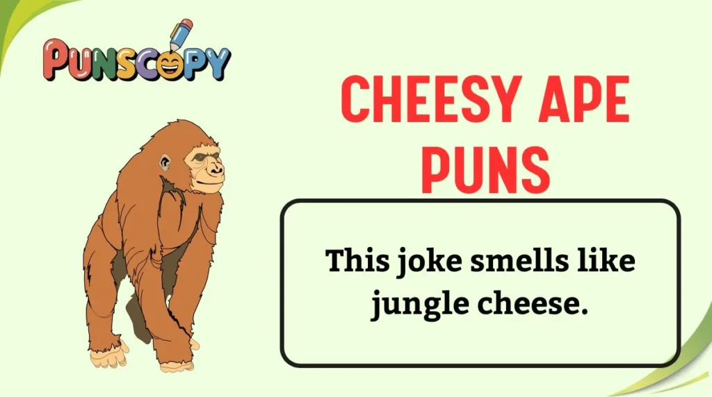 Cheesy Ape Puns