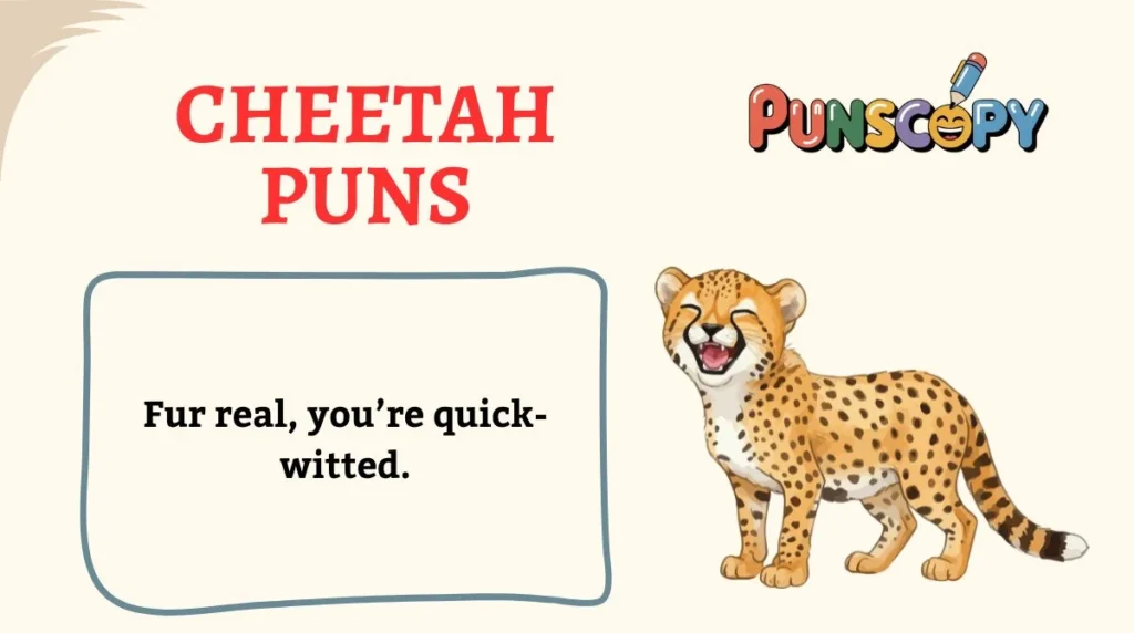 Cheetah Puns