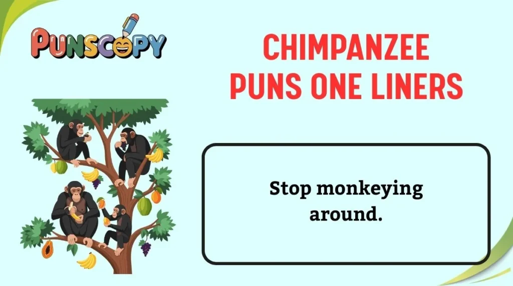 Chimpanzee Puns One Liners