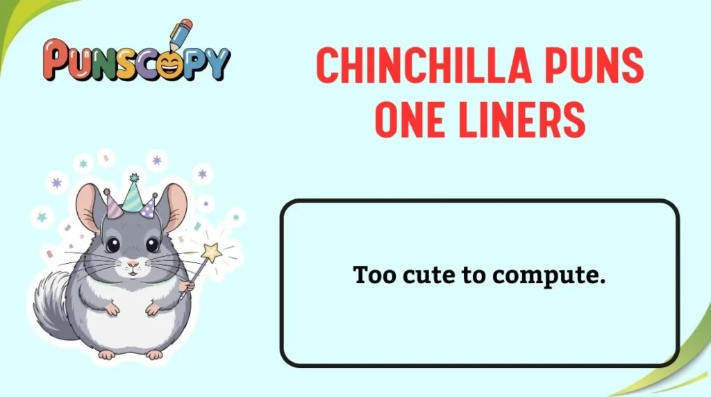 Chinchilla Puns One Liners