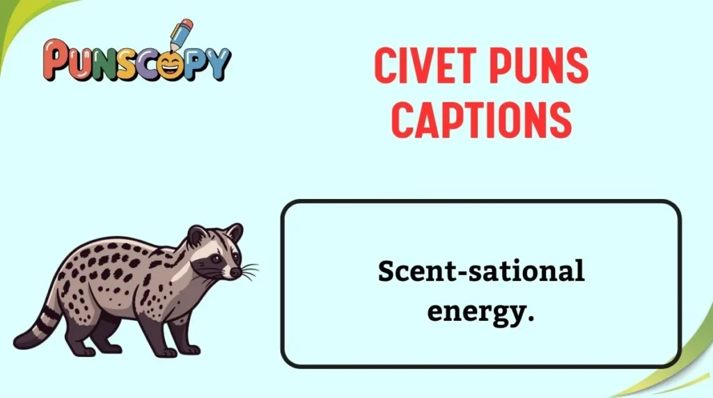 Civet Puns Captions