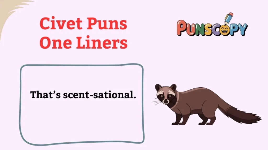 Civet Puns One Liners