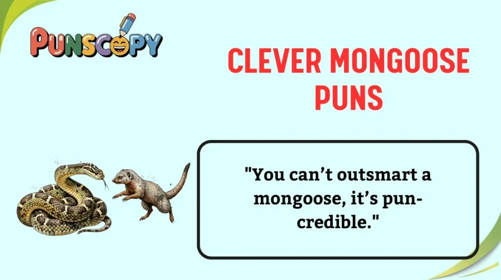 Clever Mongoose Puns