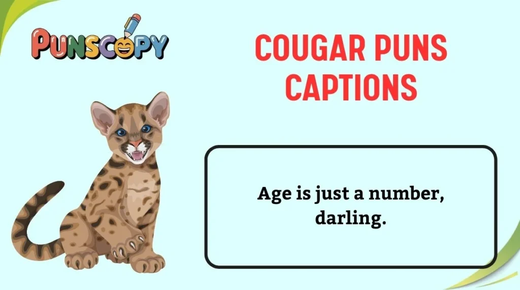 Cougar Puns Captions