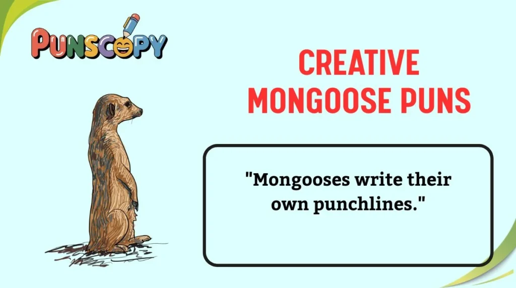 Creative Mongoose Puns