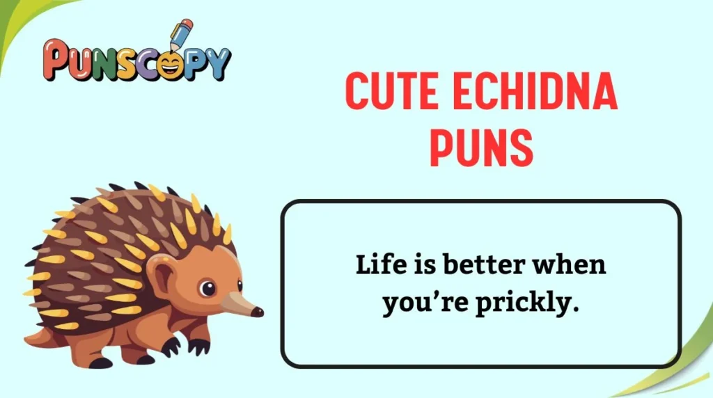 Cute Echidna Puns