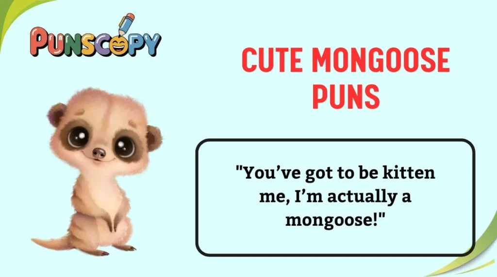 Cute Mongoose Puns