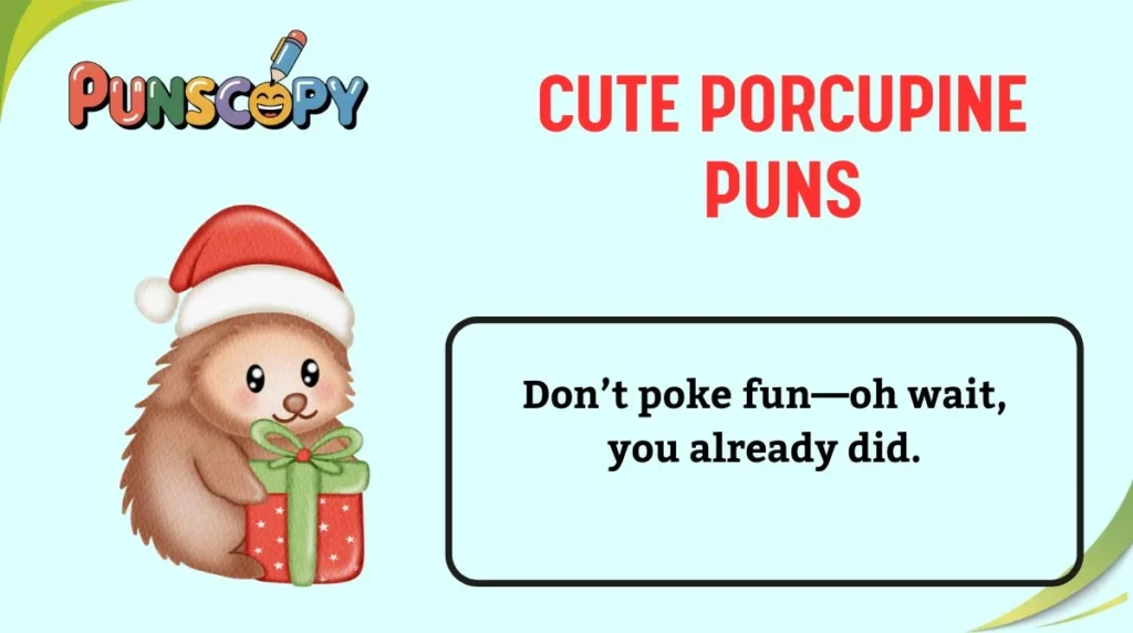 Cute Porcupine Puns