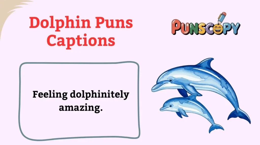 Dolphin Puns Captions