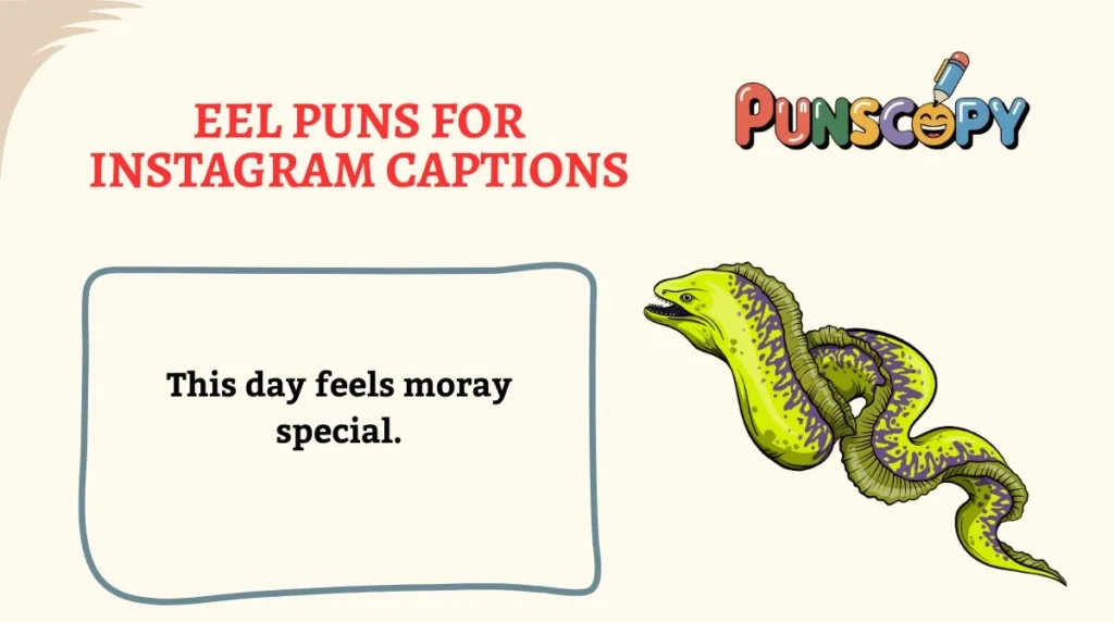 Eel Puns for Instagram Captions
