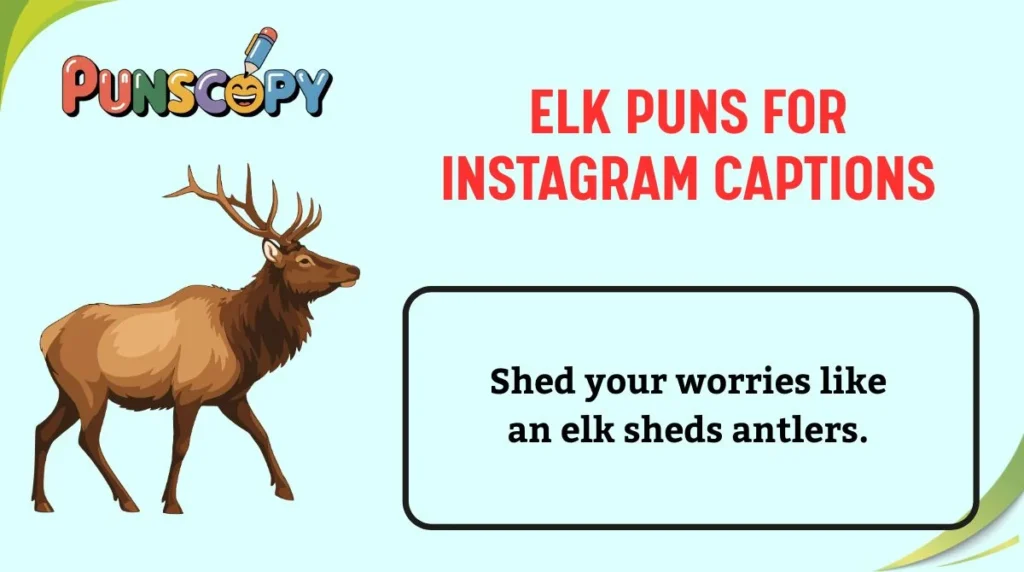 Elk Puns for Instagram Captions