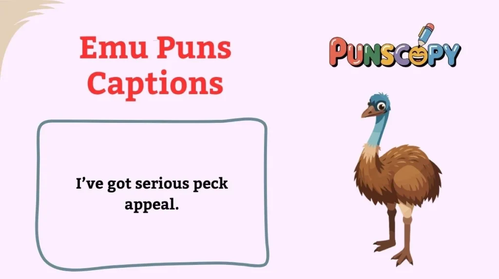Emu Puns Captions
