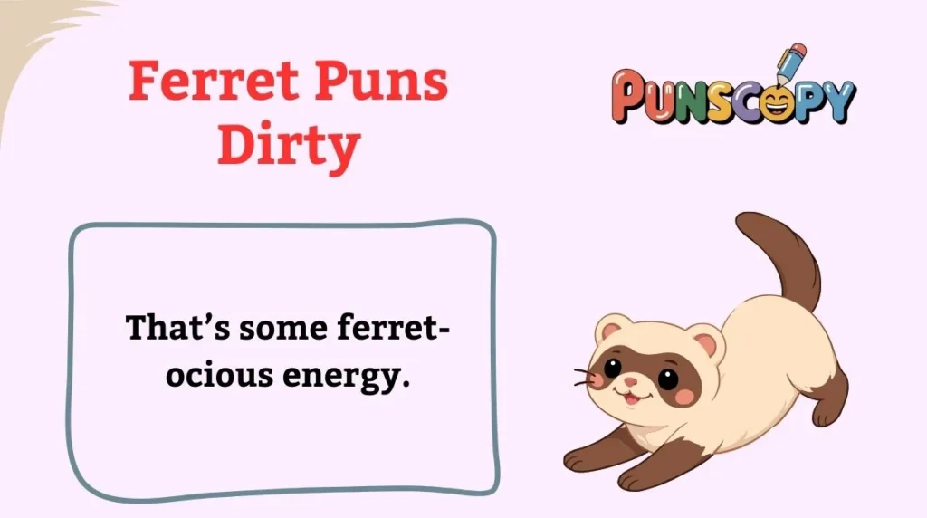Ferret Puns Dirty