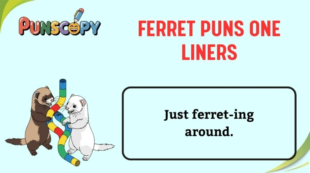 Ferret Puns One Liners
