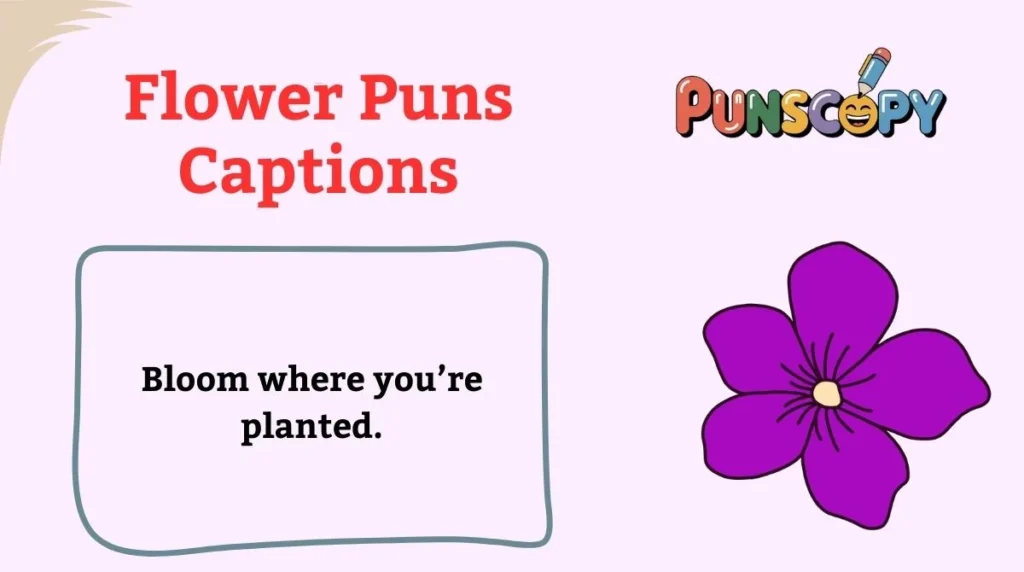Flower Puns Captions