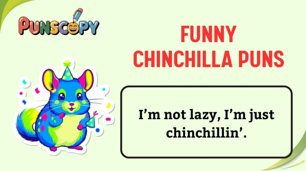 Funny Chinchilla Puns