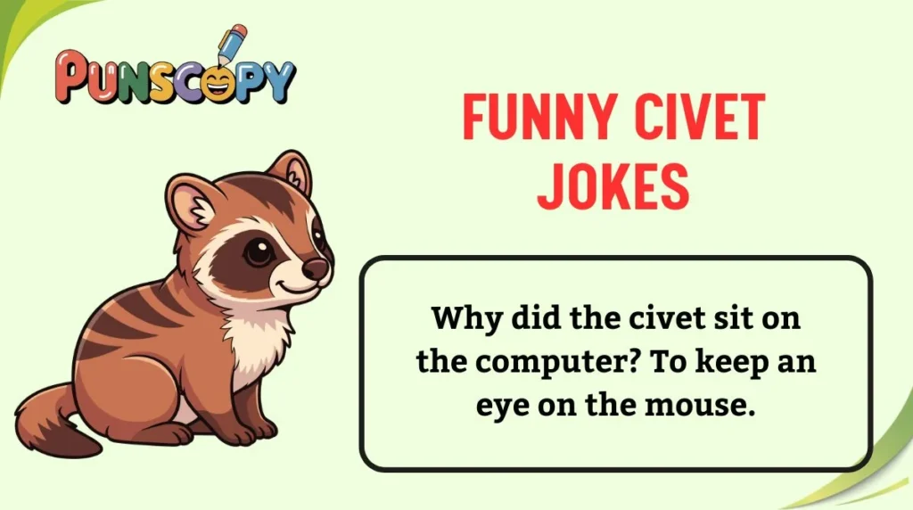 Funny Civet Jokes