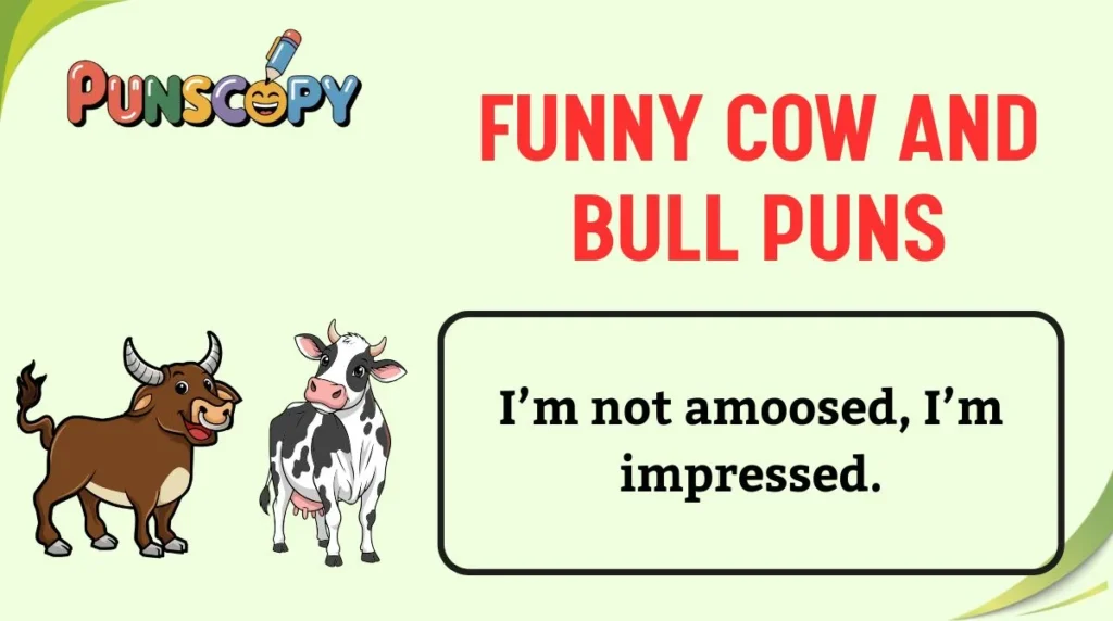 Funny Cow and Bull Puns