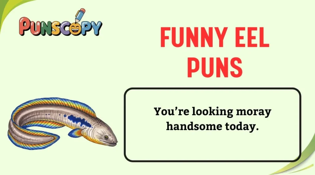 Funny Eel Puns