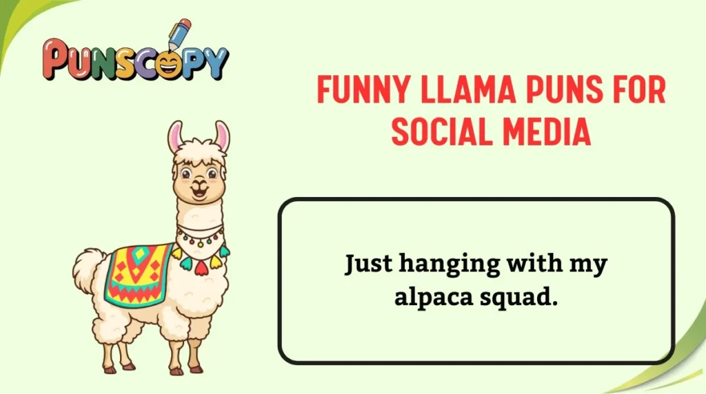 Funny Llama Puns for Social Media
