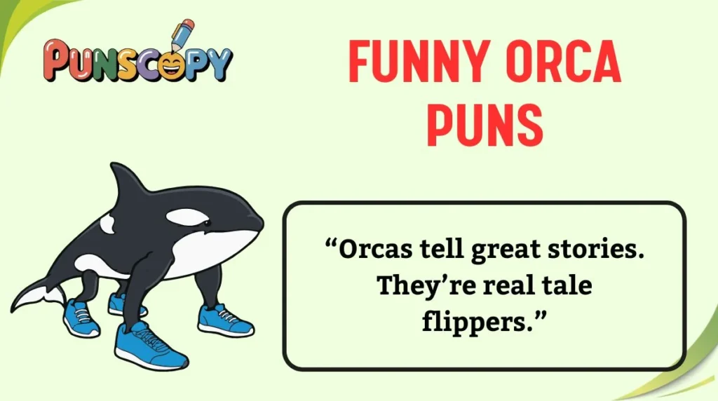 Funny Orca Puns