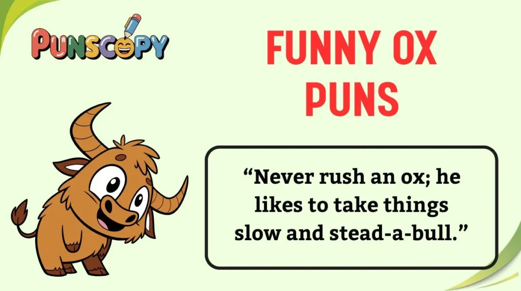 Funny Ox Puns