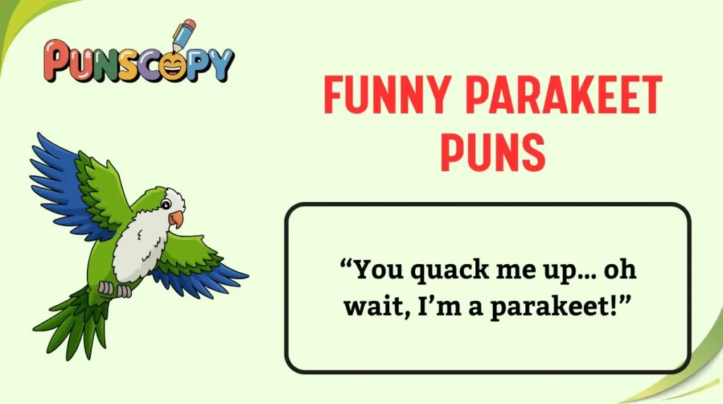 Funny Parakeet Puns