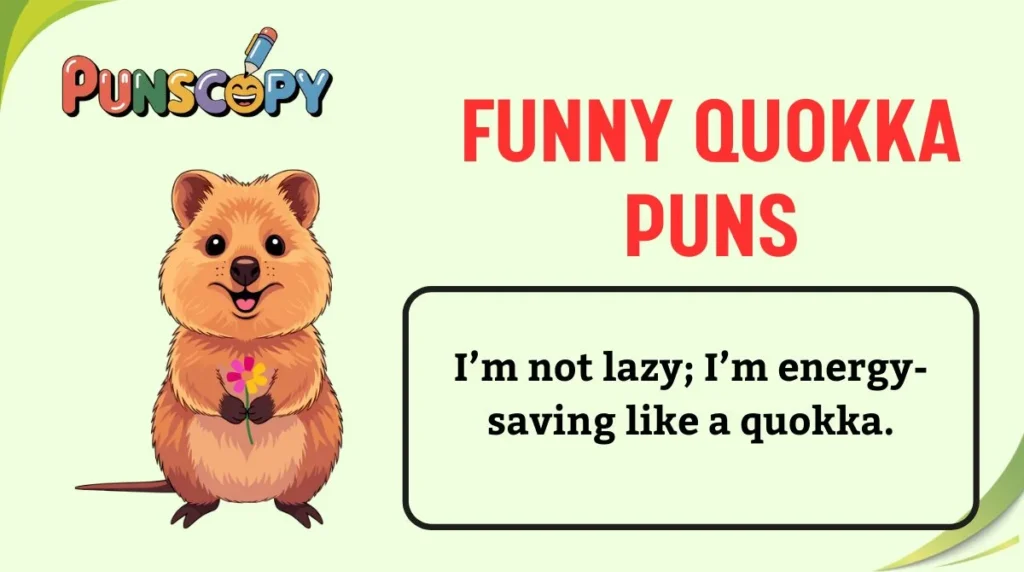 Funny Quokka Puns