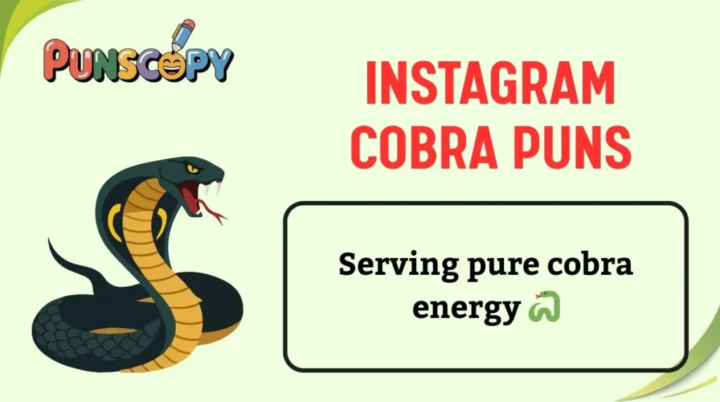 Instagram Cobra Puns