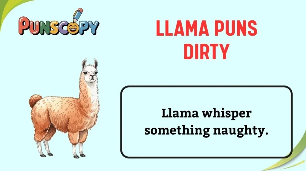 Llama Puns Dirty