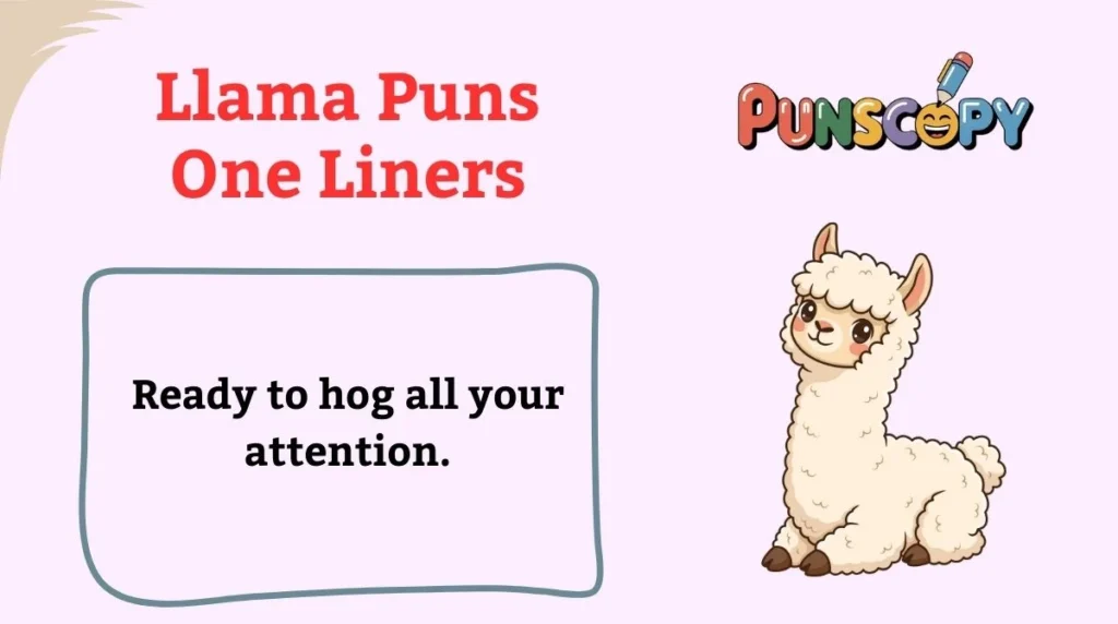 Llama Puns One Liners