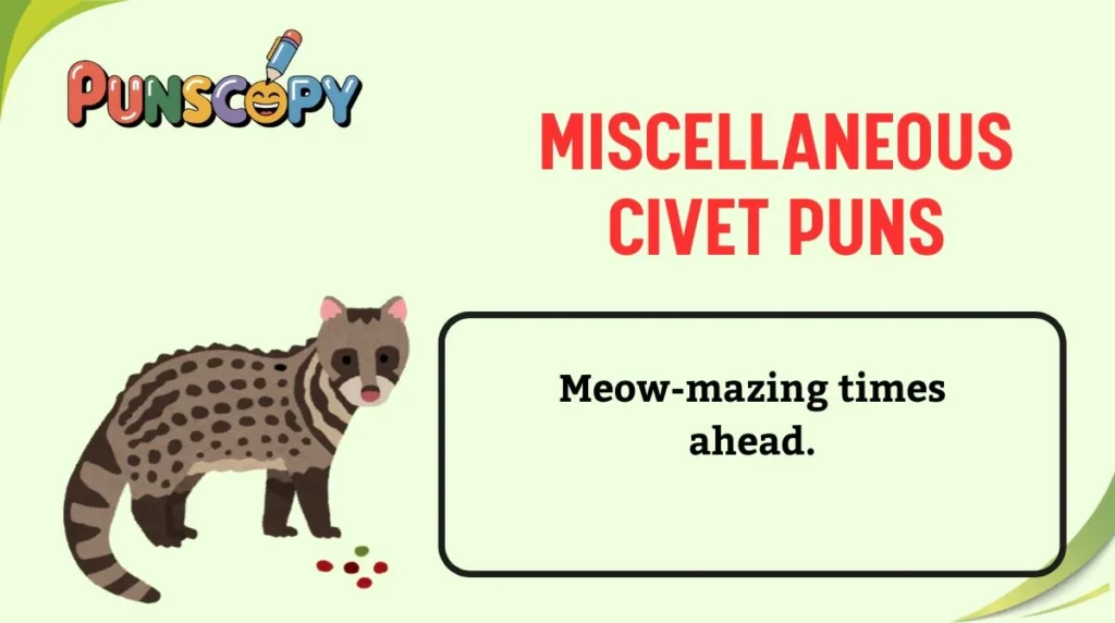 Miscellaneous Civet Puns
