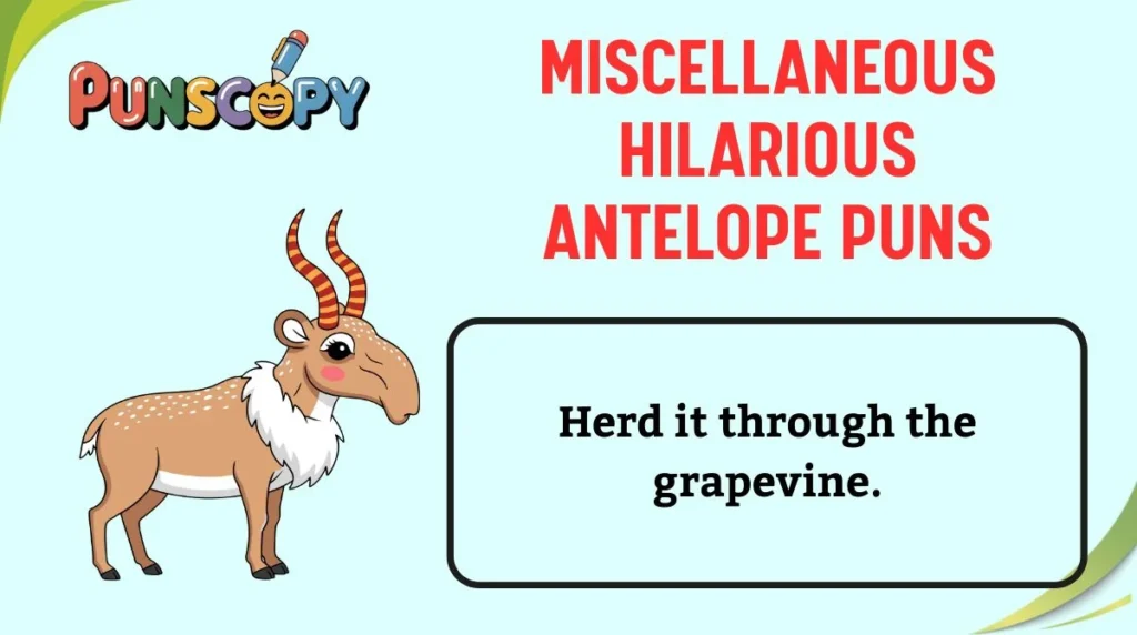 Miscellaneous Hilarious Antelope Puns