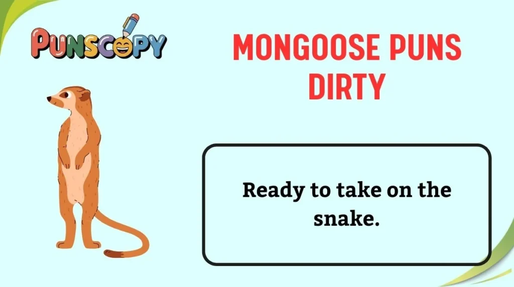 Mongoose Puns Dirty