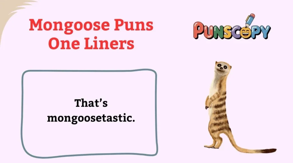Mongoose Puns One Liners