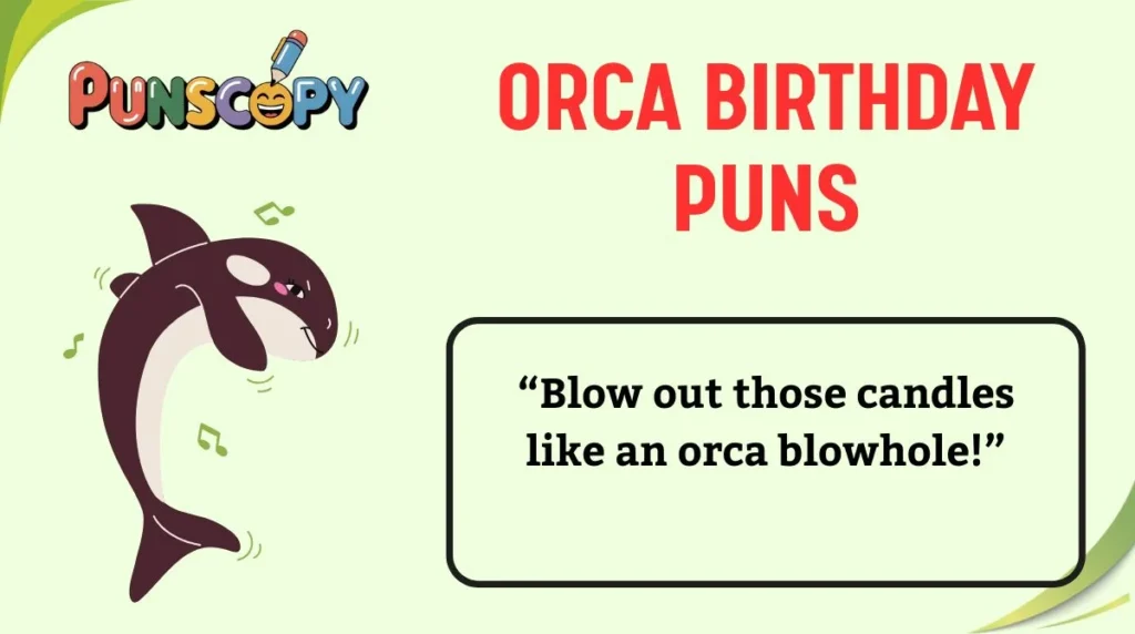 Orca Birthday Puns