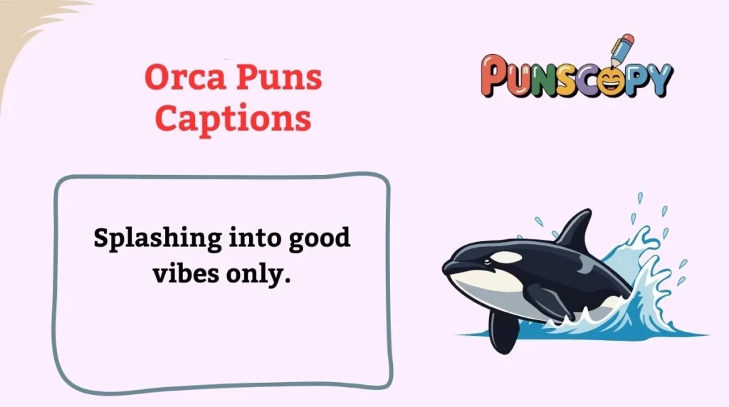 Orca Puns Captions