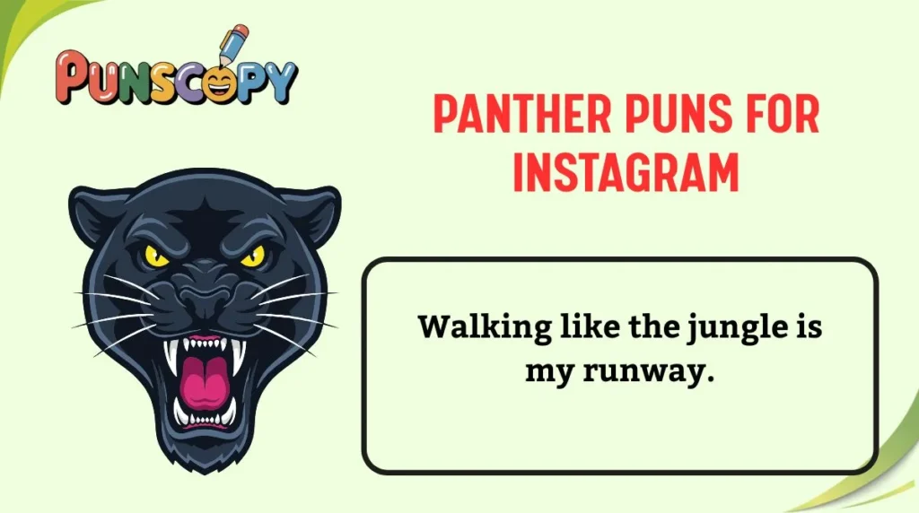 Panther Puns for Instagram