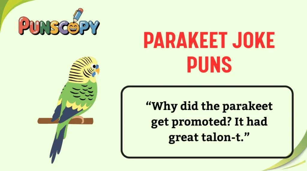 Parakeet Joke Puns