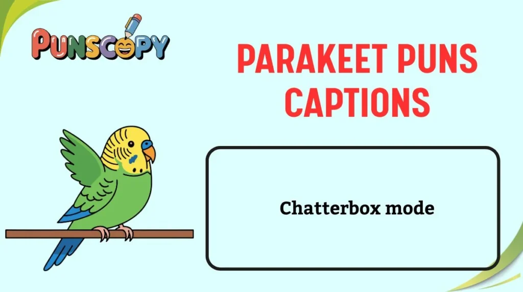 Parakeet Puns Captions