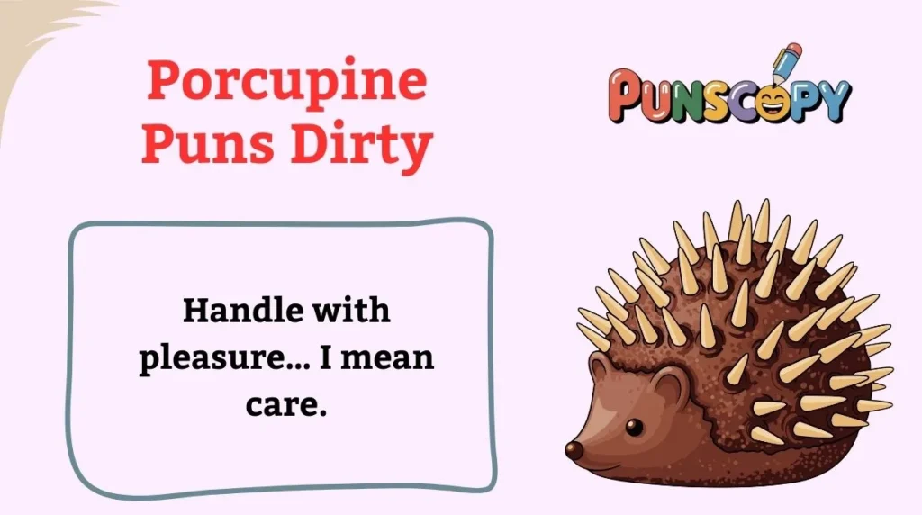 Porcupine Puns Dirty