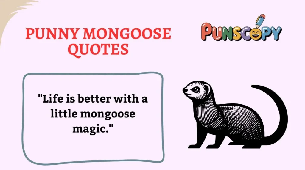 Punny Mongoose Quotes