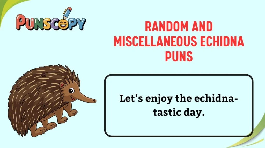 Random and Miscellaneous Echidna Puns
