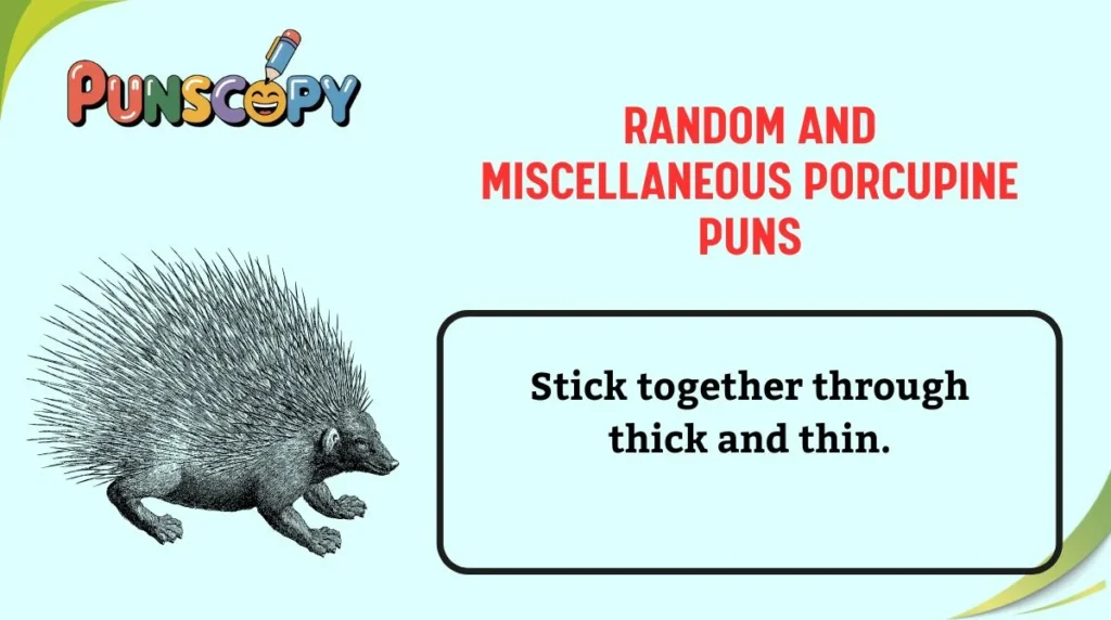 Random and Miscellaneous Porcupine Puns