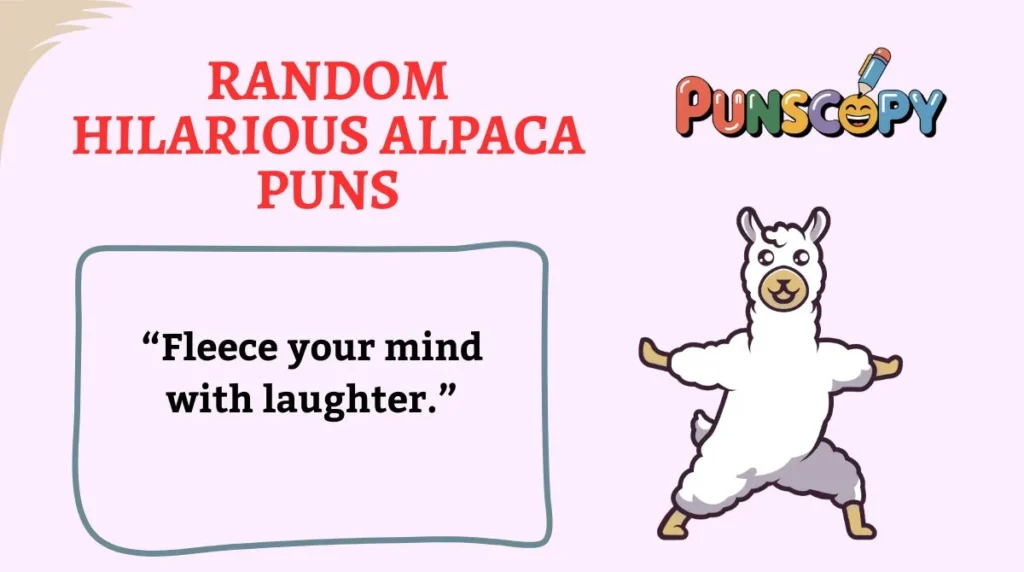 Random Hilarious Alpaca Puns