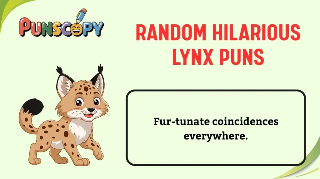 Random Hilarious Lynx Puns