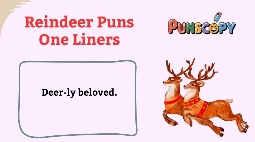 Reindeer Puns One Liners